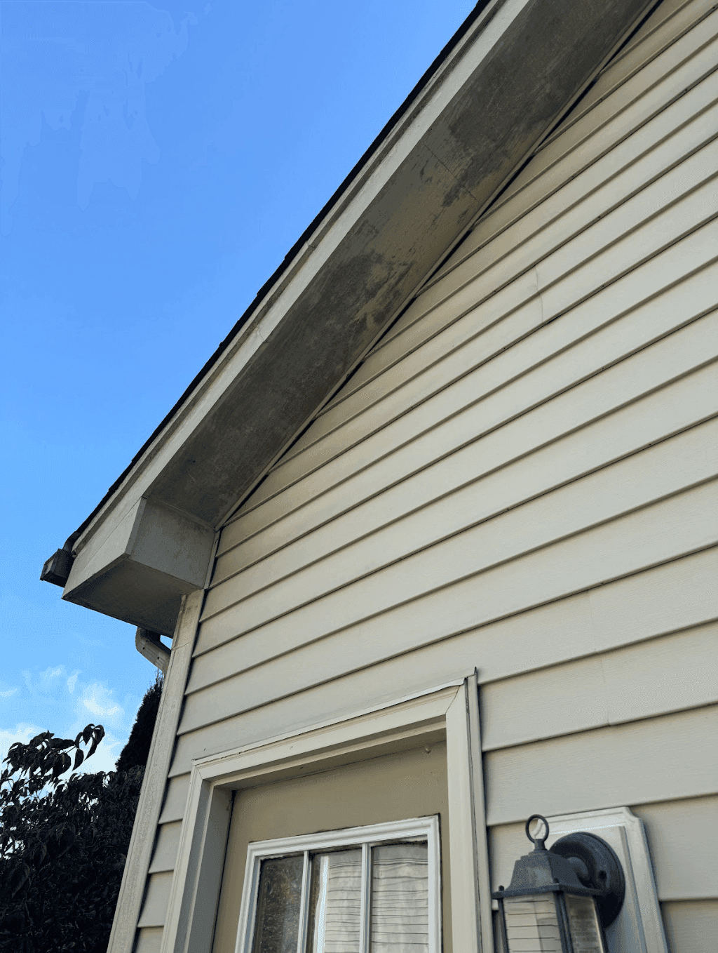 Bacteria Under Soffits in Cary, IL - Before